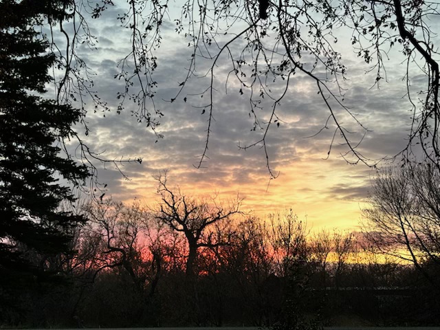 Sunset at Lemon Squeezy Farms